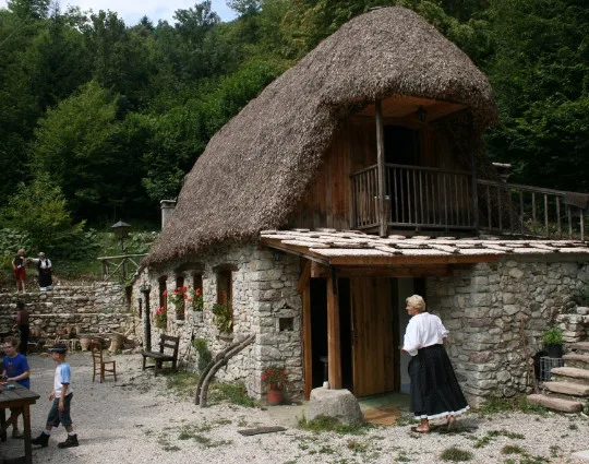 Foto dell'agriturismo Albero degli alberi