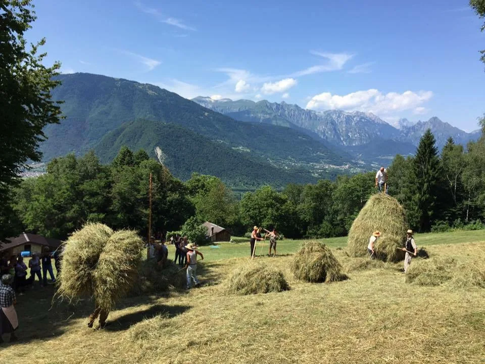 Il territorio serenese - Immagine di lavoratori nei campi