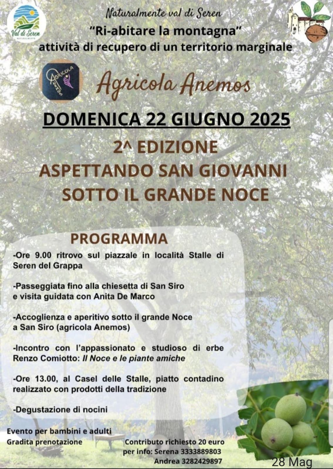 Immagine anteprima